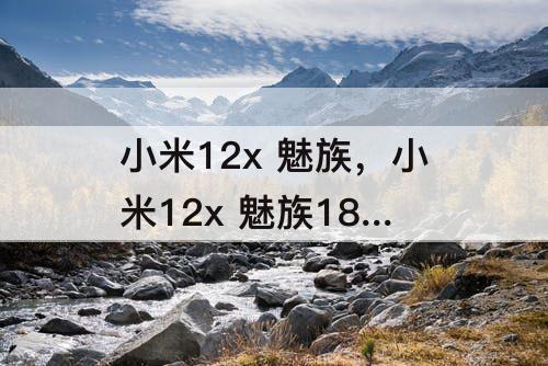 小米12x 魅族，小米12x 魅族18 三星s20