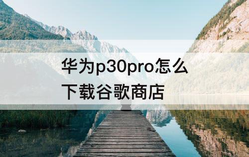 华为p30pro怎么下载谷歌商店