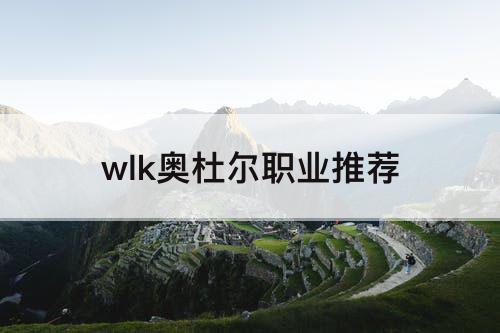 wlk奥杜尔职业推荐