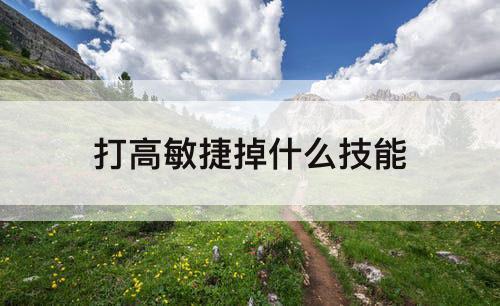打高敏捷掉什么技能