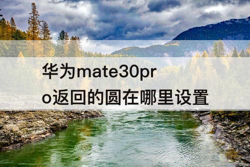 华为mate30pro返回的圆在哪里设置