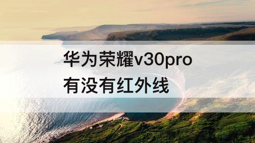 华为荣耀v30pro有没有红外线