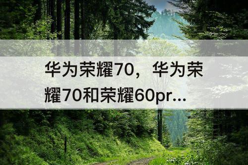 华为荣耀70，华为荣耀70和荣耀60pro哪个好
