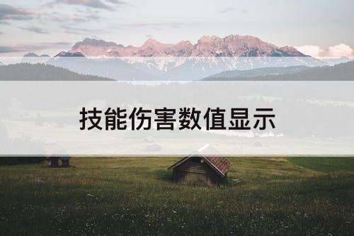 技能伤害数值显示