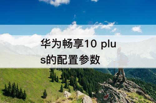 华为畅享10 plus的配置参数