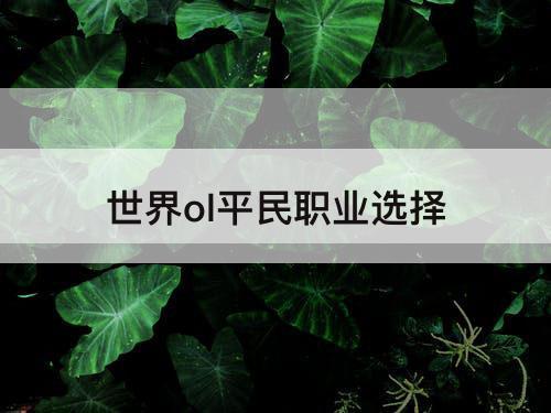 世界ol平民职业选择