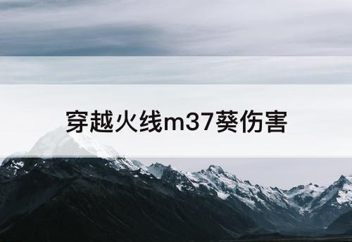 穿越火线m37葵伤害