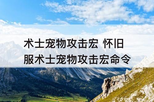 术士宠物攻击宏 怀旧服术士宠物攻击宏命令