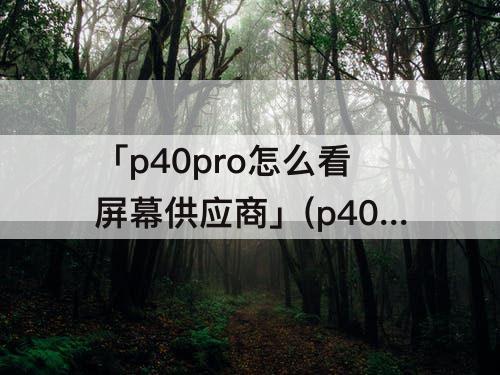 「p40pro怎么看屏幕供应商」(p40pro怎么看屏幕供应商代码)