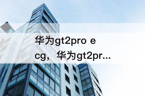 华为gt2pro ecg，华为gt2pro ecg颜色