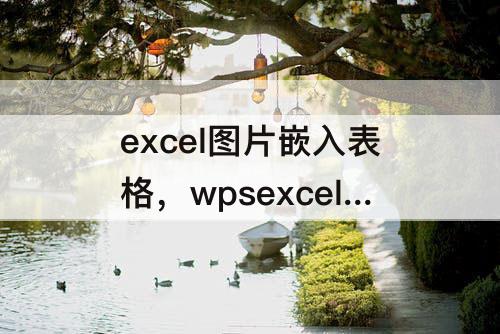 excel图片嵌入表格，wpsexcel图片嵌入表格