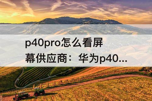 p40pro怎么看屏幕供应商：华为p40pro怎么看屏幕供应商安兔兔