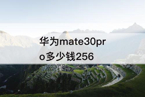 华为mate30pro多少钱256