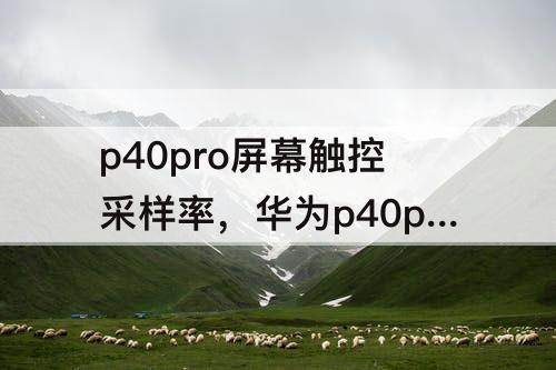 p40pro屏幕触控采样率，华为p40pro屏幕触控采样率