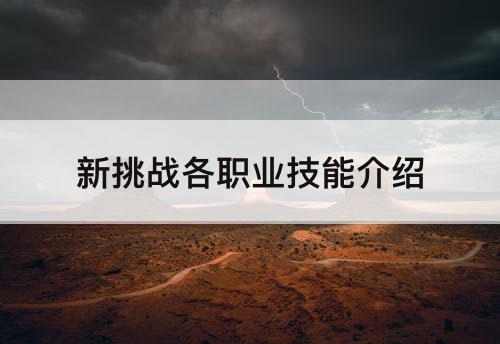 新挑战各职业技能介绍