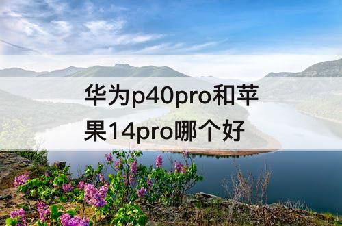 华为p40pro和苹果14pro哪个好