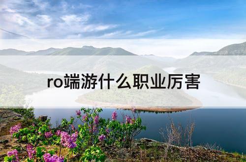 ro端游什么职业厉害