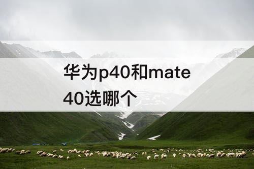 华为p40和mate40选哪个