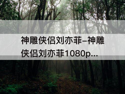 神雕侠侣刘亦菲-神雕侠侣刘亦菲1080p下载