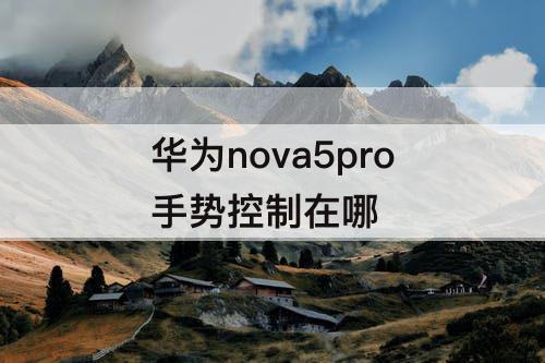 华为nova5pro手势控制在哪