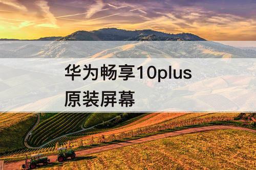 华为畅享10plus原装屏幕