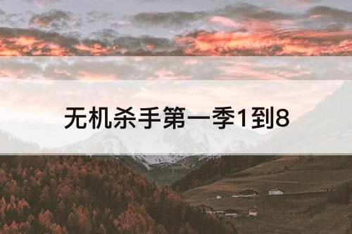 无机杀手第一季1到8