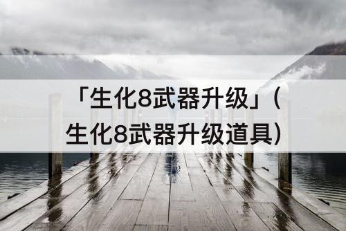 「生化8武器升级」(生化8武器升级道具)