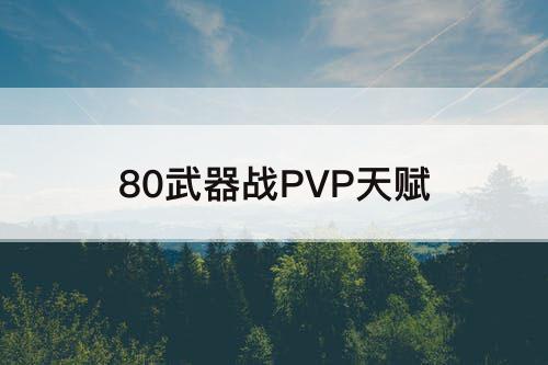80武器战PVP天赋