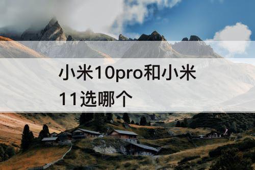 小米10pro和小米11选哪个