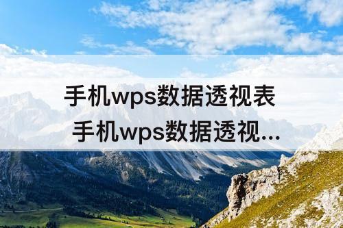手机wps数据透视表 手机wps数据透视表怎么做汇总求和