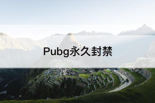 Pubg永久封禁