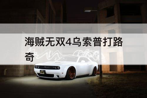海贼无双4乌索普打路奇