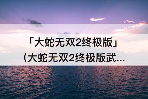 「大蛇无双2终极版」(大蛇无双2终极版武器属性)