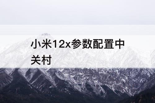 小米12x参数配置中关村