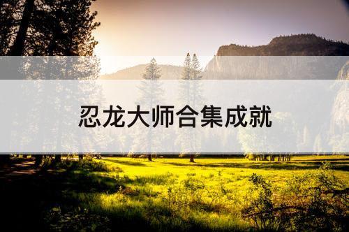 忍龙大师合集成就