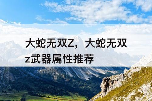 大蛇无双Z，大蛇无双z武器属性推荐