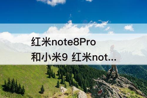 红米note8Pro和小米9 红米note8Pro和小米9se