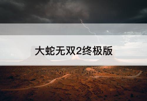 大蛇无双2终极版