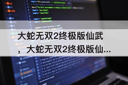 大蛇无双2终极版仙武，大蛇无双2终极版仙武难度