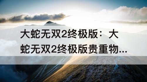 大蛇无双2终极版：大蛇无双2终极版贵重物品地图