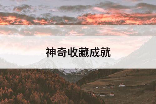 神奇收藏成就