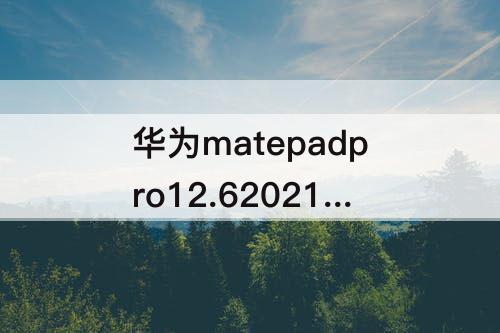 华为matepadpro12.62021款