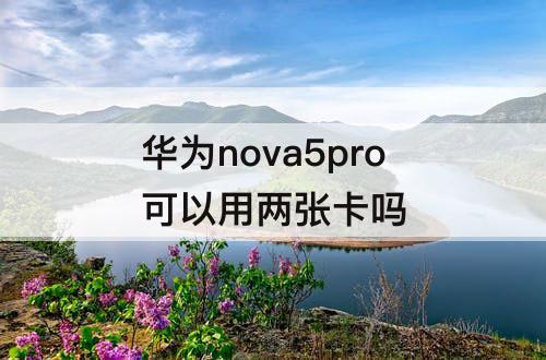 华为nova5pro可以用两张卡吗