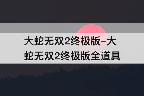 大蛇无双2终极版-大蛇无双2终极版全道具