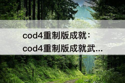 cod4重制版成就：cod4重制版成就武器大师