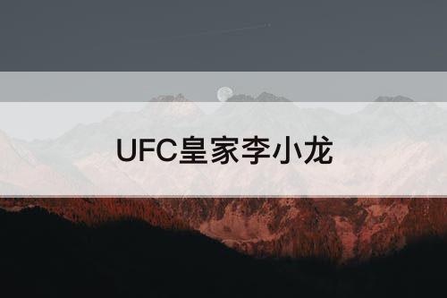 UFC皇家李小龙