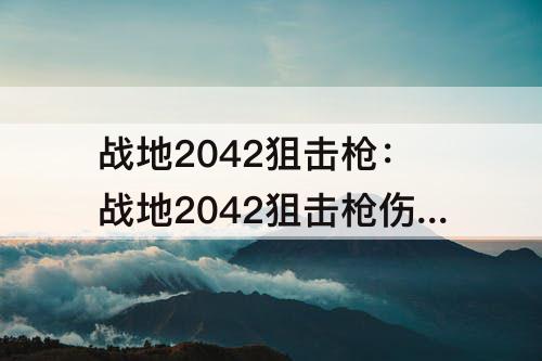 战地2042狙击枪：战地2042狙击枪伤害低