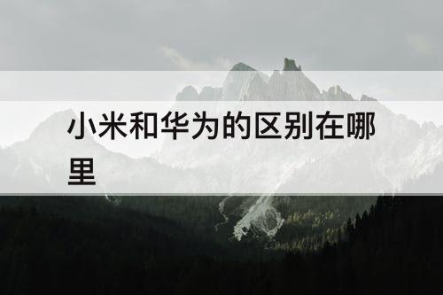 小米和华为的区别在哪里