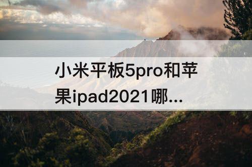 小米平板5pro和苹果ipad2021哪个好