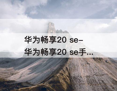 华为畅享20 se-华为畅享20 se手机怎么样